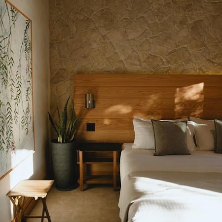 Mya Hotel Valle de Guadalupe Eksteriør bilde