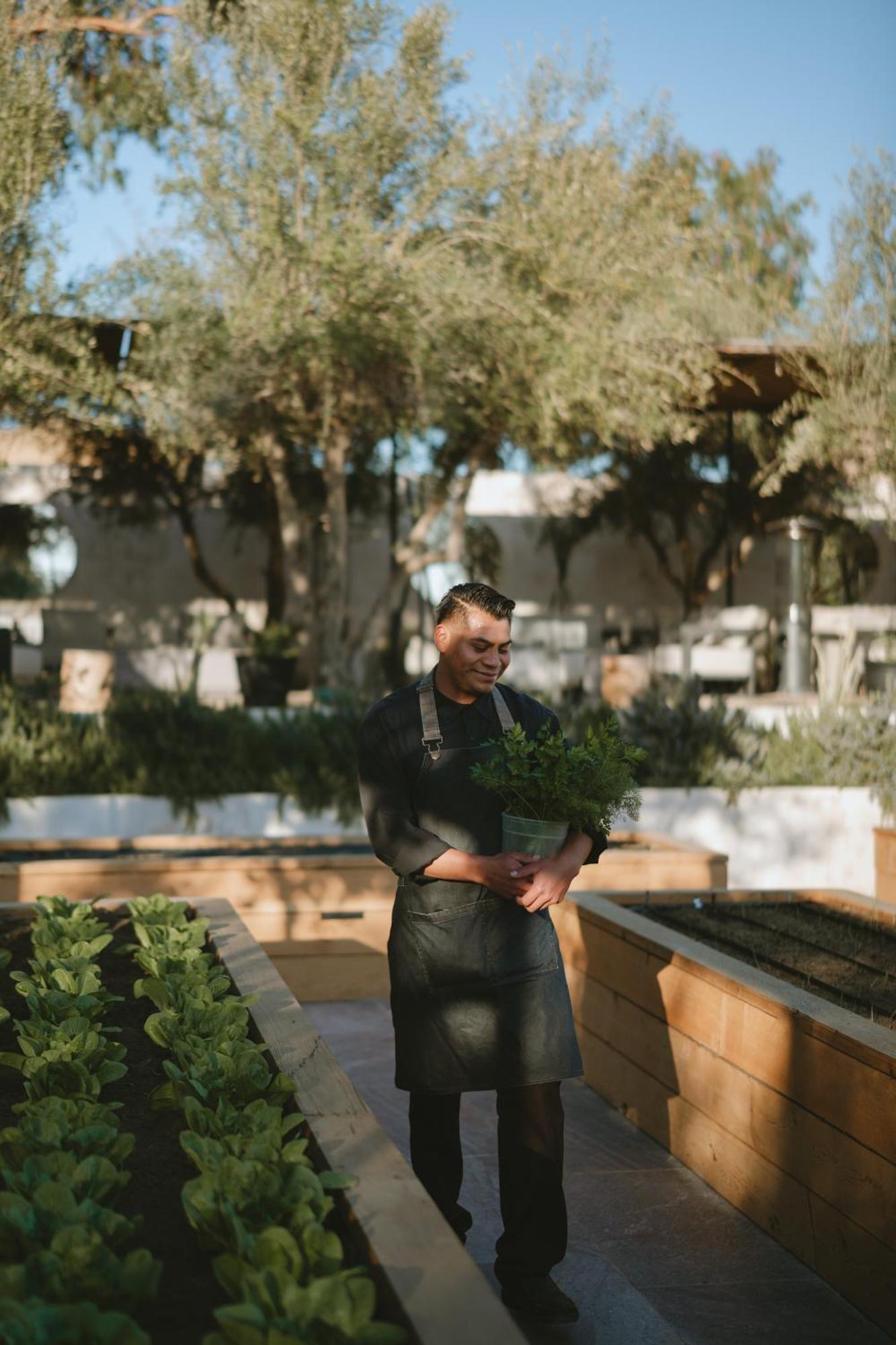 Mya Hotel Valle de Guadalupe Eksteriør bilde