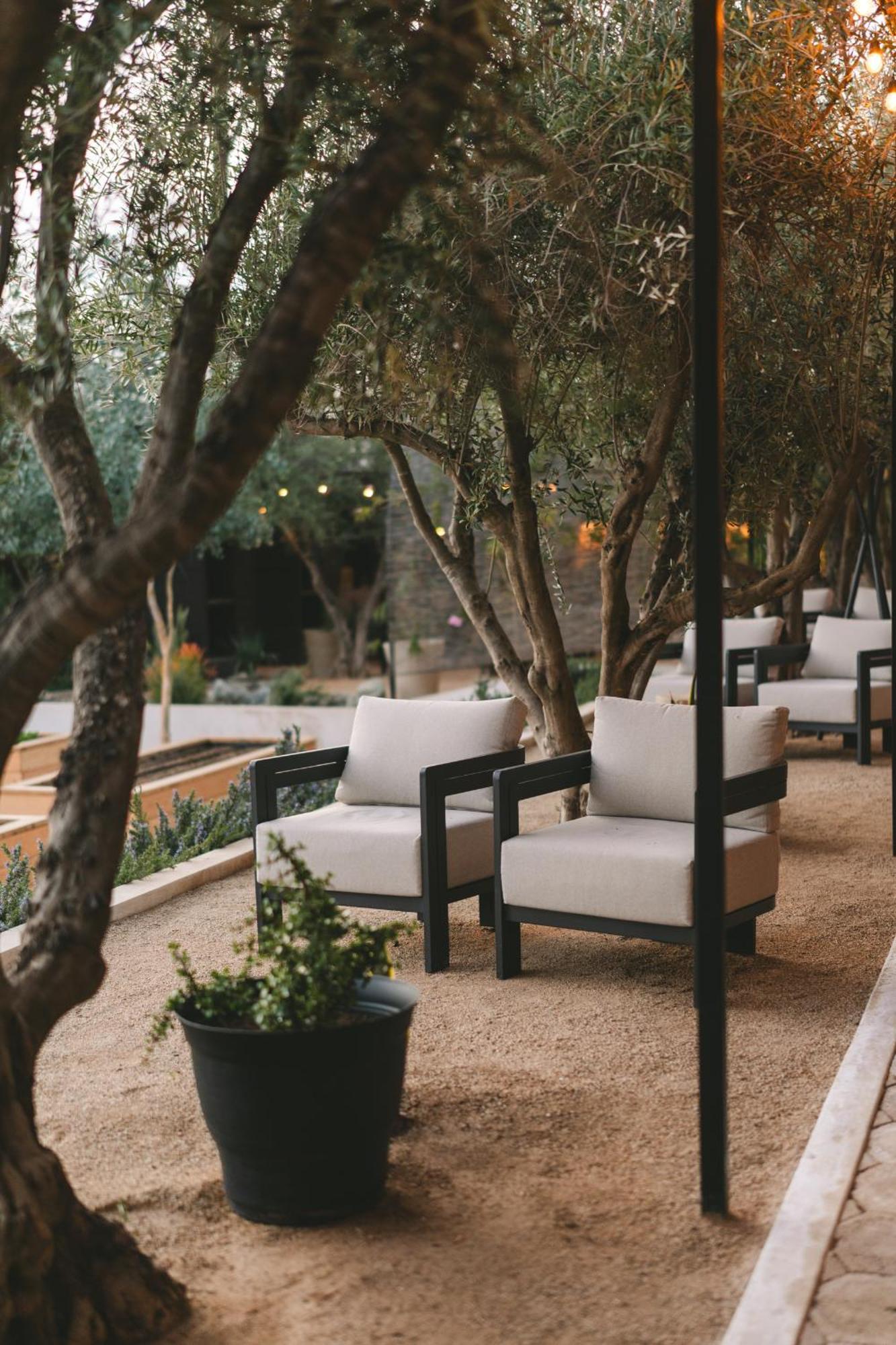 Mya Hotel Valle de Guadalupe Eksteriør bilde