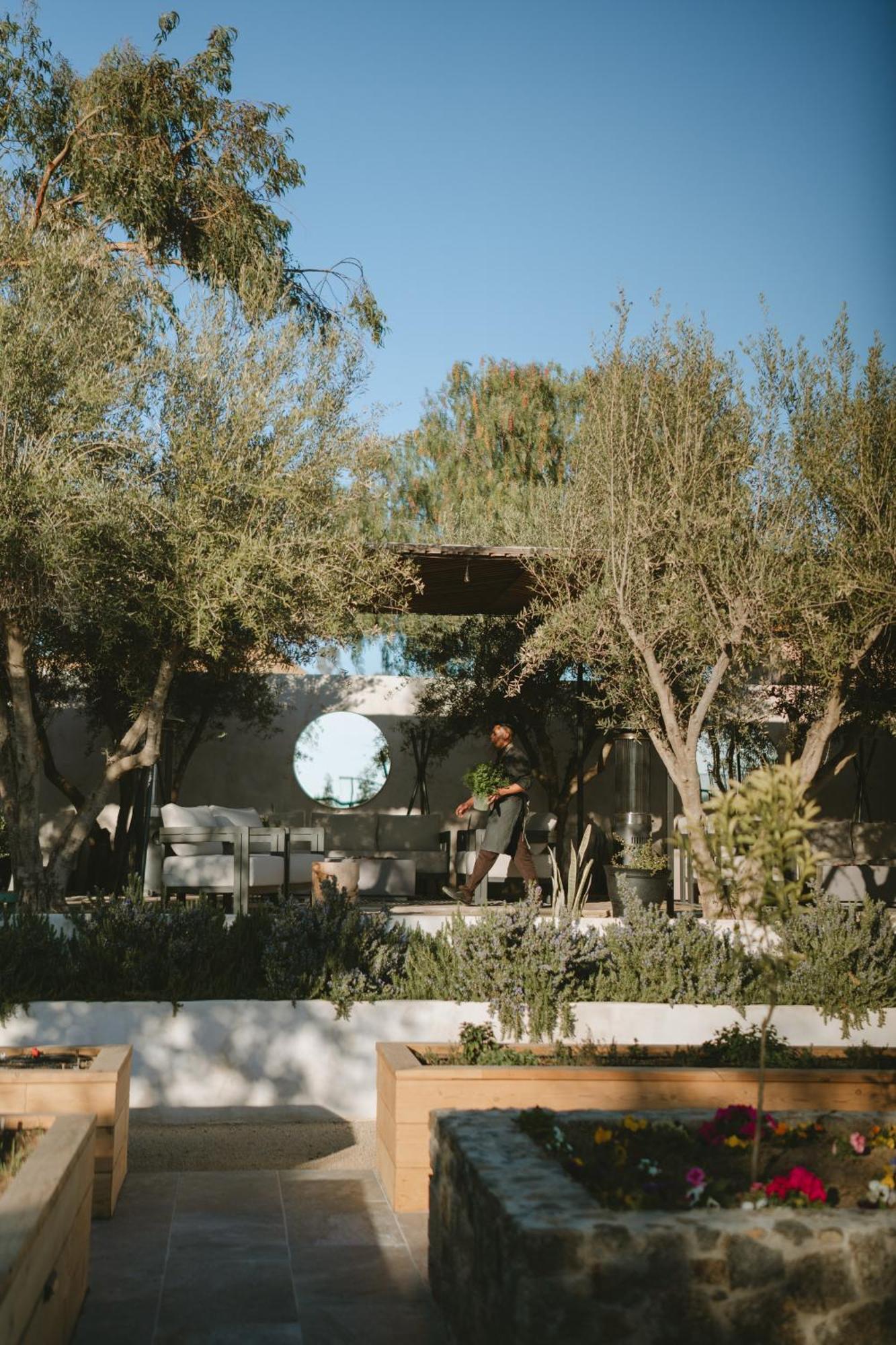 Mya Hotel Valle de Guadalupe Eksteriør bilde