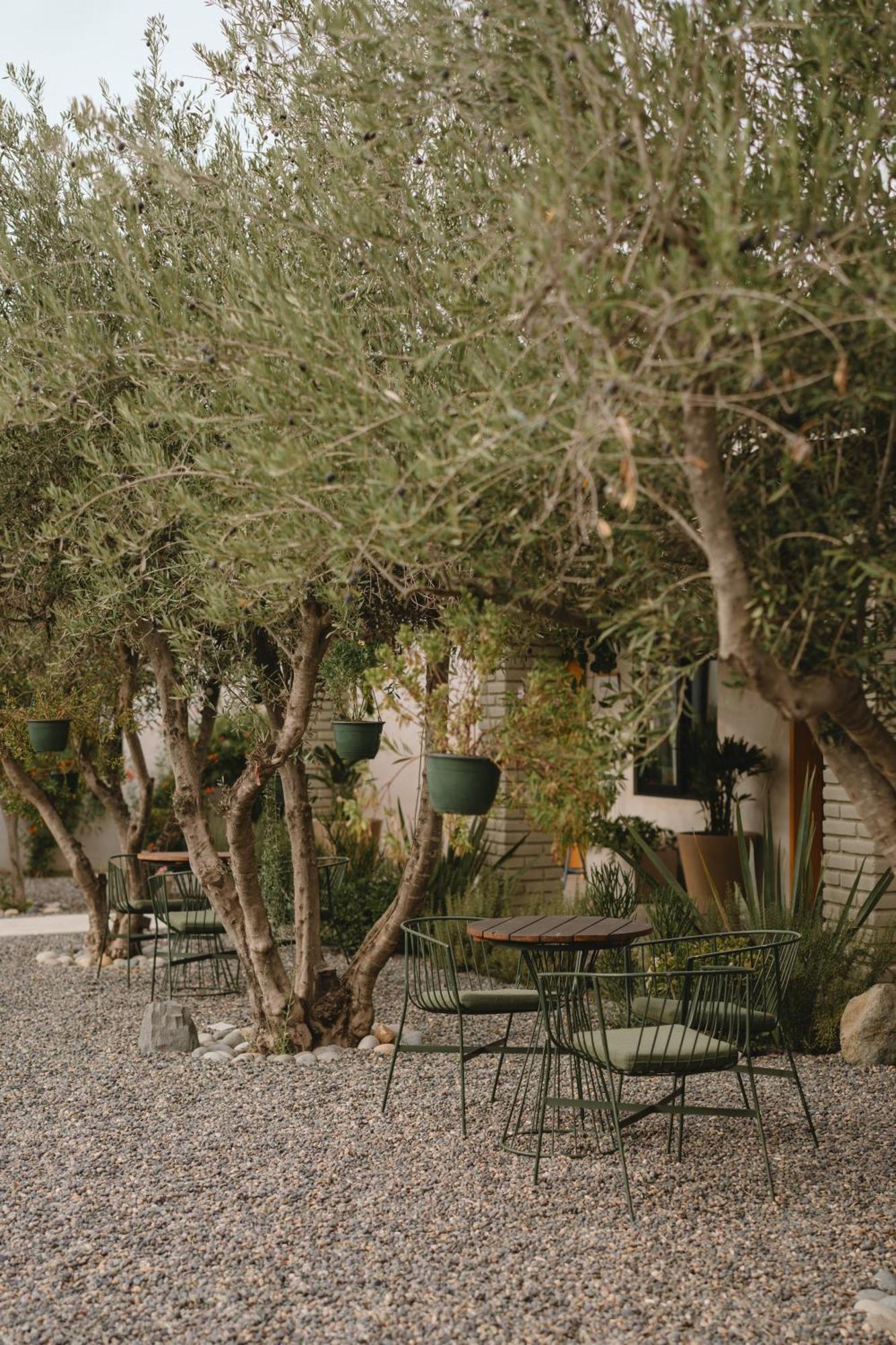 Mya Hotel Valle de Guadalupe Eksteriør bilde