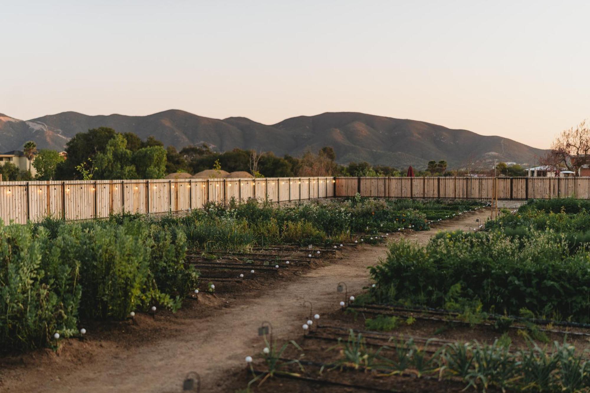 Mya Hotel Valle de Guadalupe Eksteriør bilde